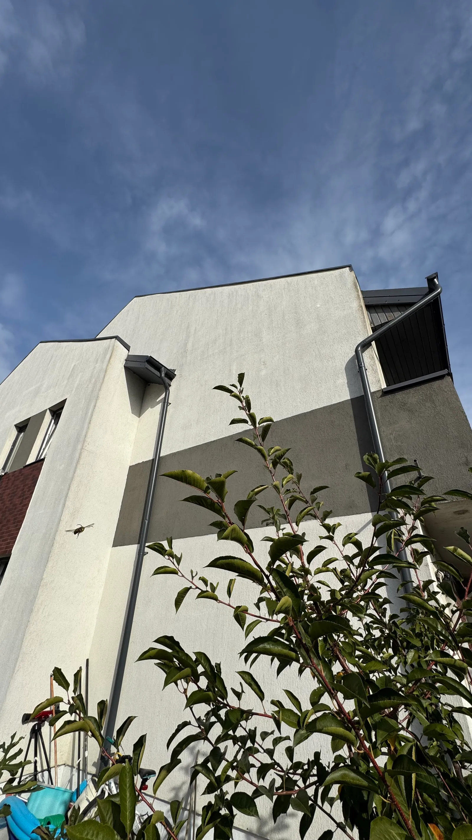 Fotografie 2 – Jumătate de duplex cu 3 camere în Otopeni, 120 m² și teren de 160 m², Otopeni